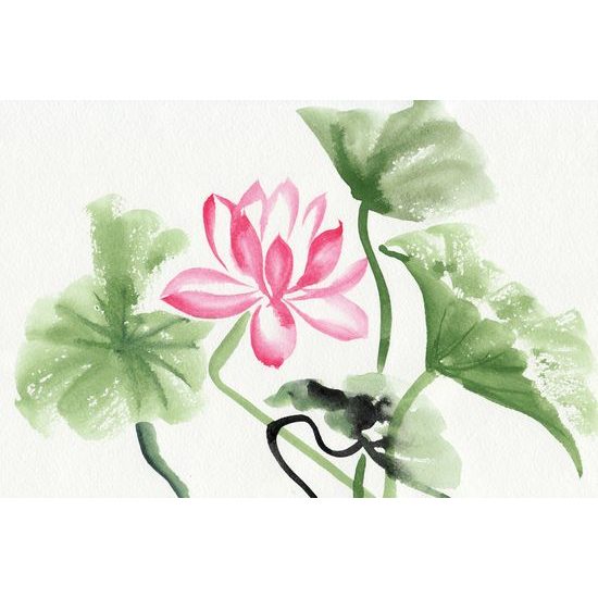 Samolepiaca tapeta lotosový kvet v akvarelovom prevedení