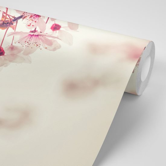 Samolepiaca fototapeta vetvička ružovkastých kvetov čerešne