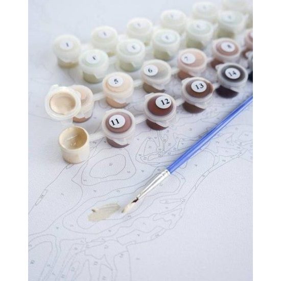 Maľovanie podľa čísiel nádherná sakura pri jazere