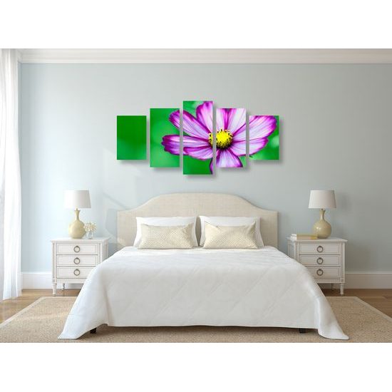 5-dielny obraz jedinečný kvet krasuľky