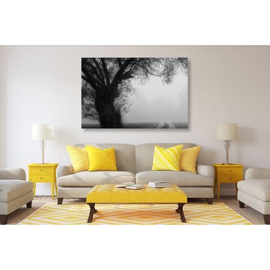 Obraz pole zahalené v rannej hmle v čiernobielom prevedení