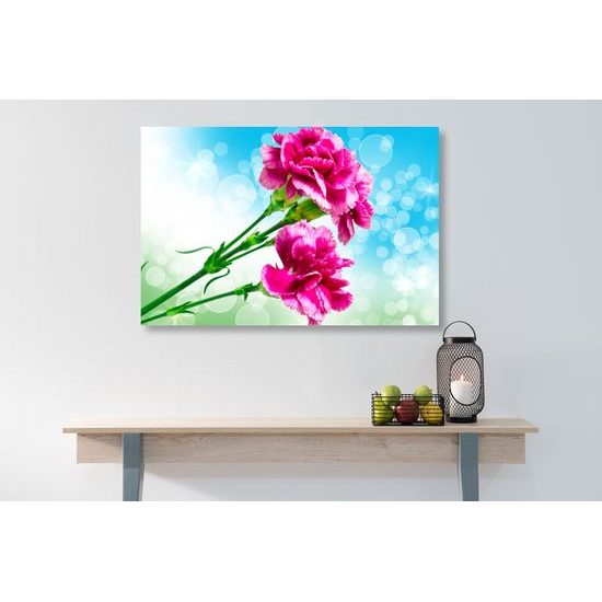 Obraz nádherny ružový kvet