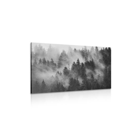 Obraz čiernobiela hora v rannej hmle