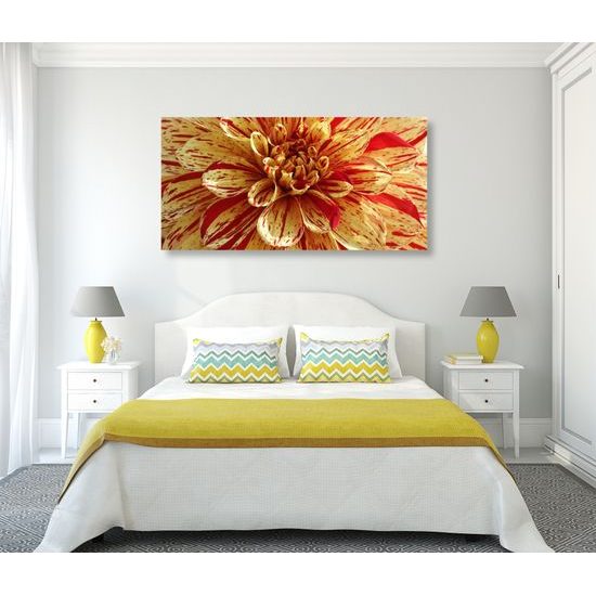 Obraz ohromná dália