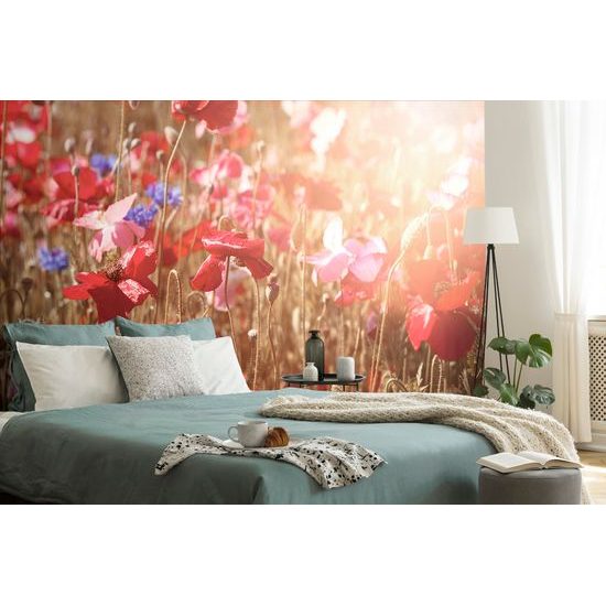 Samolepiaca fototapeta vlčí mak v lúčoch slnka