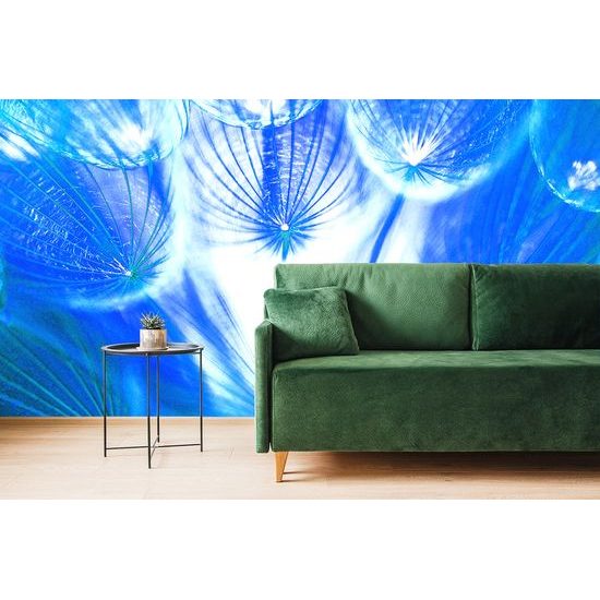 Zaujímavá samolepiaca fototapeta modrá púpava