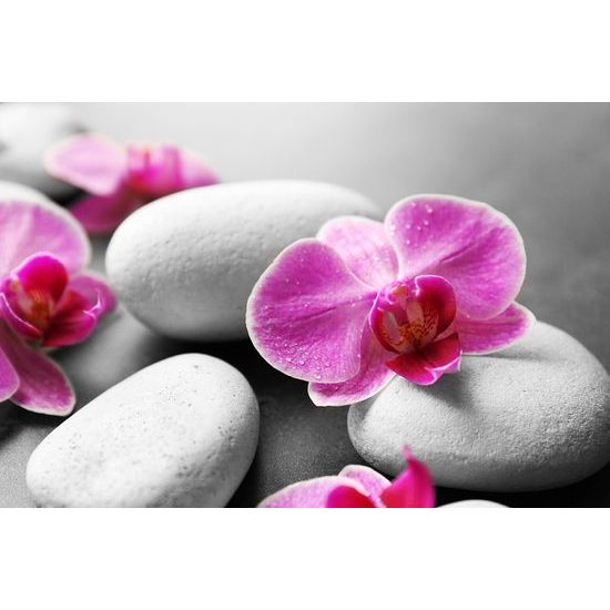 Fototapeta wellness zátišie s orchideou