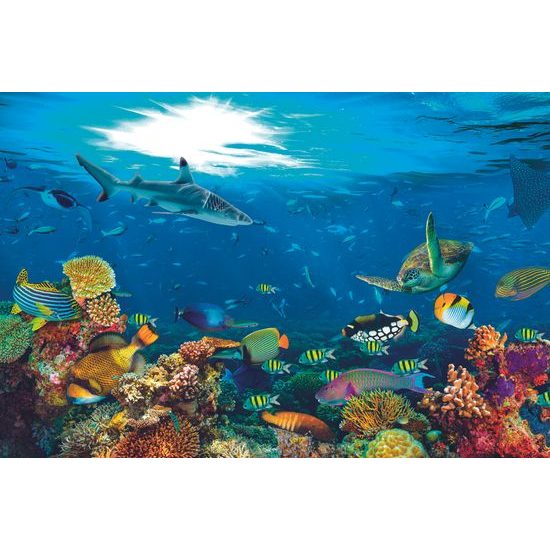 Samolepiaca fototapeta korálový útes