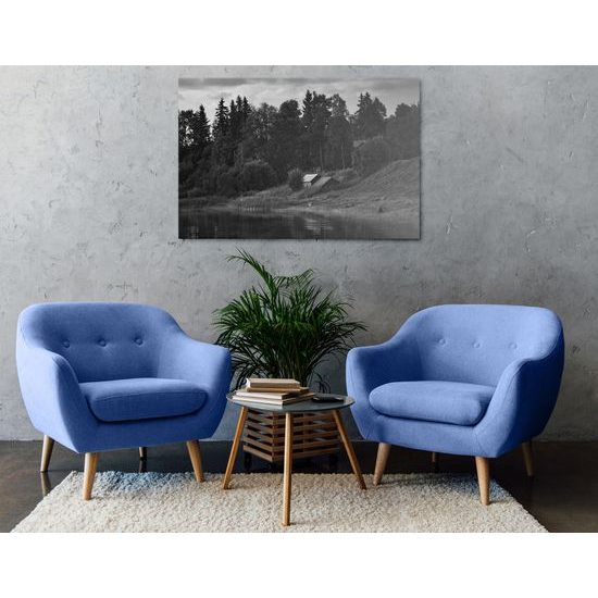 Obraz ukľudnujúca príroda v čiernobielom prevedení