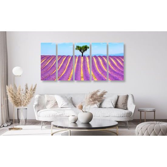 5-dielny obraz nekonečné levanduľové polia