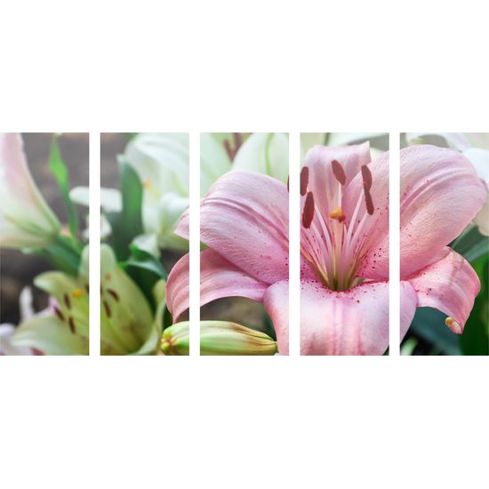 5-dielny obraz ľalia dlhokvetá