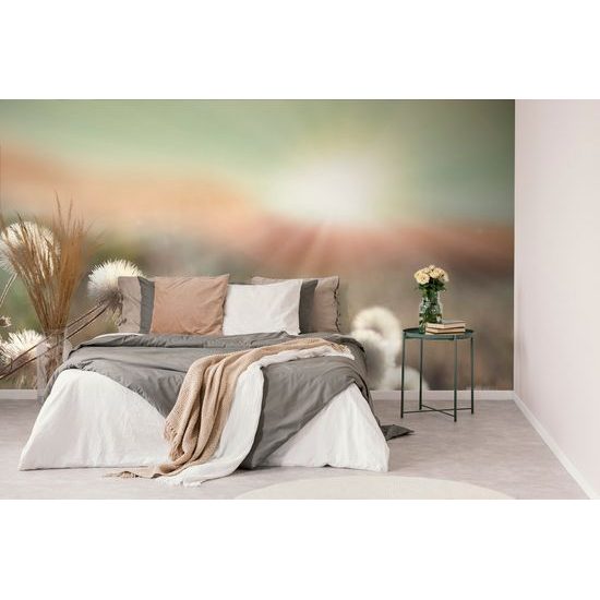 Samolepiaca fototapeta lúka pri východe slnka