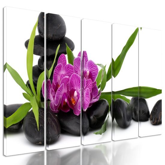 5-dielny obraz krásny kvet orchidei v SPA zátiší