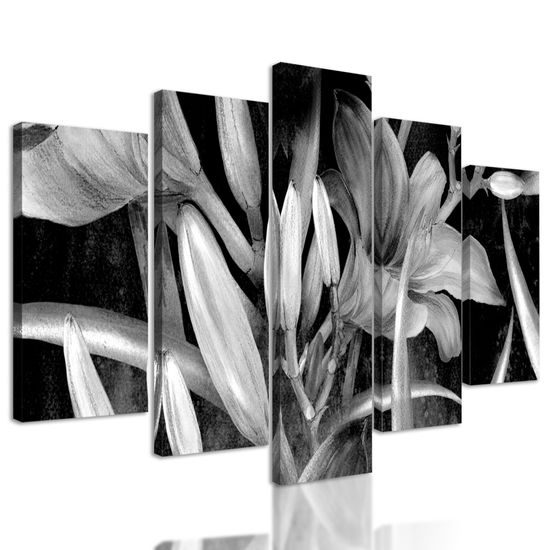 5-dielny obraz pôvabná maľovaná ľalia v čiernobielom prevedení