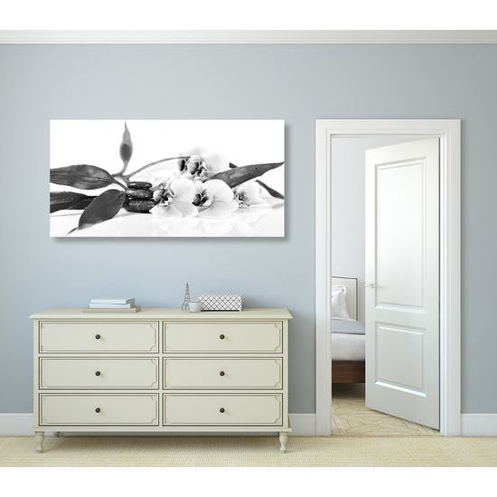 Obraz ukľudňujúce Zen zátišie s kvetmi orchidei v čiernobielom prevedení
