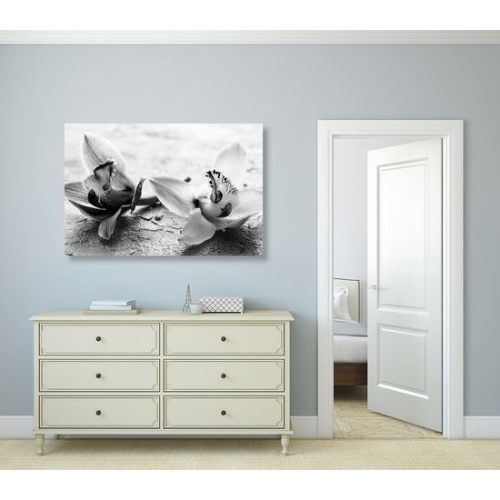 Obraz nádherné kvety orchidey v čiernobielom prevedení