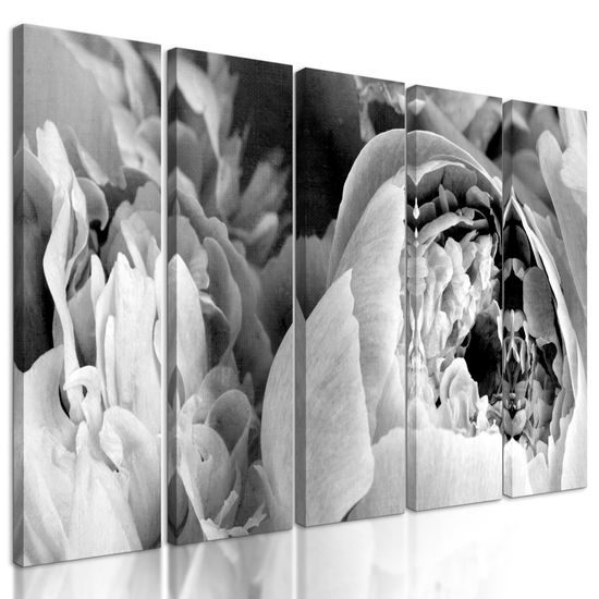 5-dielny obraz detail na kvety v čiernobielom prevedení