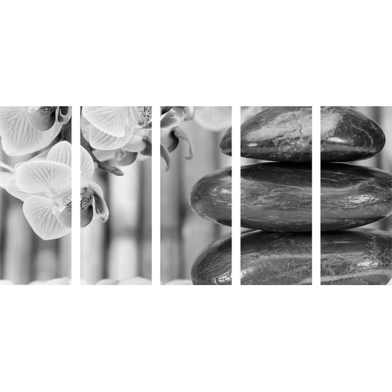 5-dielny obraz bambusová Zen záhrada v čiernobielom prevedení