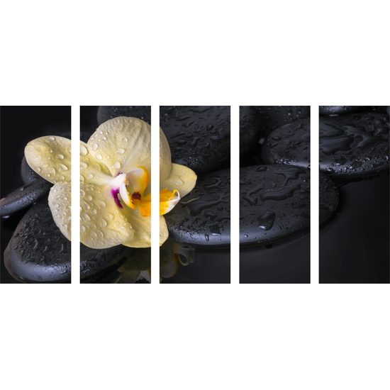5-dielny obraz lávové kamene a zaujímavá orchidea