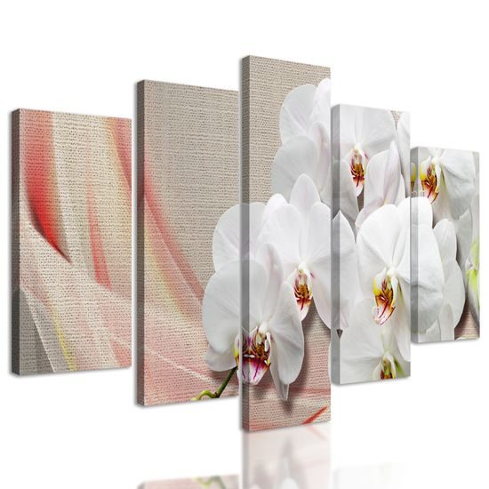 5-dielny obraz nádherná orchidea