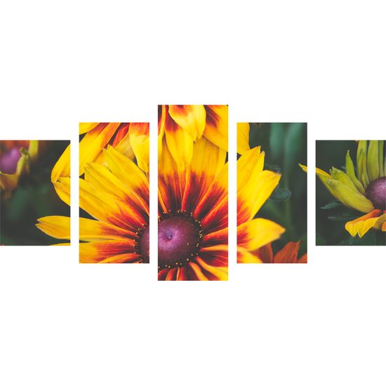 5-dielny obraz pôvabné sfarbené kvety