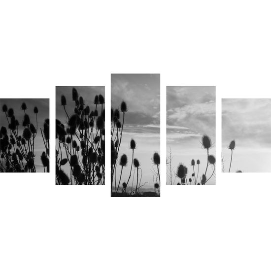 5-dielny obraz západ slnka za steblami trávy v čiernobielom prevedení