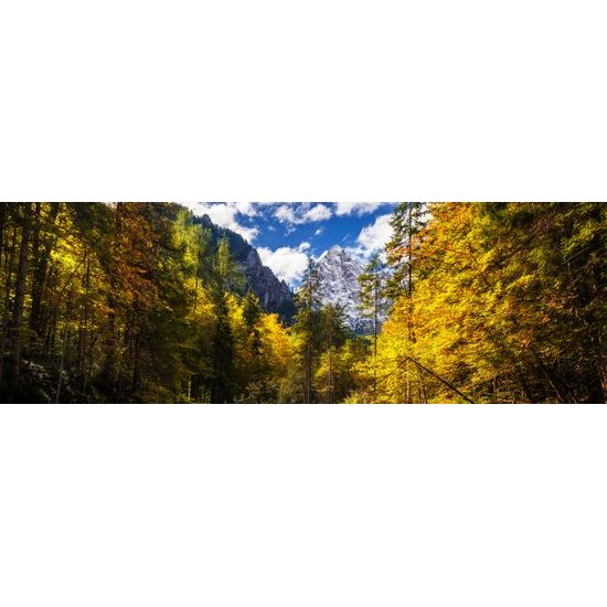 Obraz krásy jesennej prírody