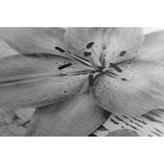 Obraz ružový kvet na drevenom podklade v čiernobielom prevedení