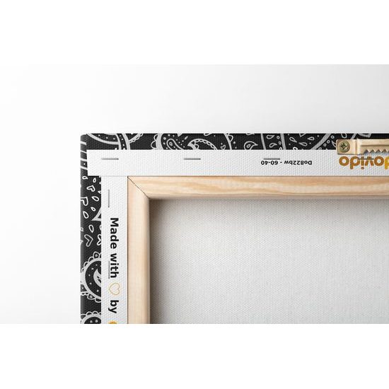 Obraz čiernobiela Mandala v indickom štýle