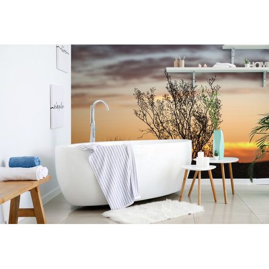 Samolepiaca fototapeta krík pri západe slnka