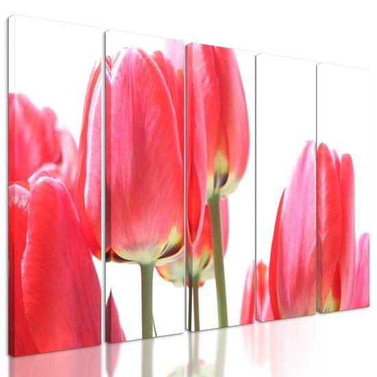 5-dielny obraz elegantné tulipány