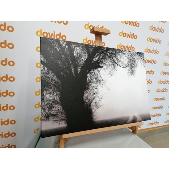 Obraz pole zahalené v rannej hmle v čiernobielom prevedení