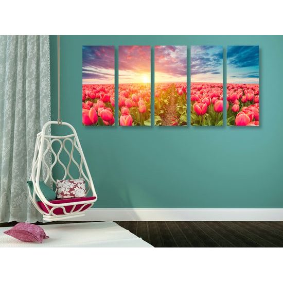 5-dielny obraz západ slnka nad rozkvinutými tulipánmi