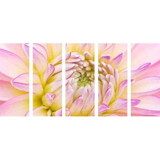 5-dielny obraz perfektný detail na kvet dálie