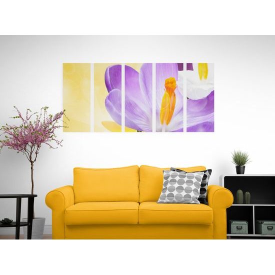 5-dielny obraz nežný šafrán