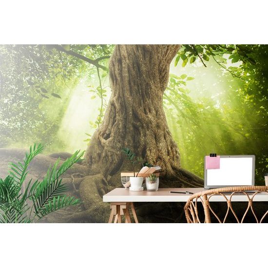 Samolepiaca tapeta mohutné korene stromu