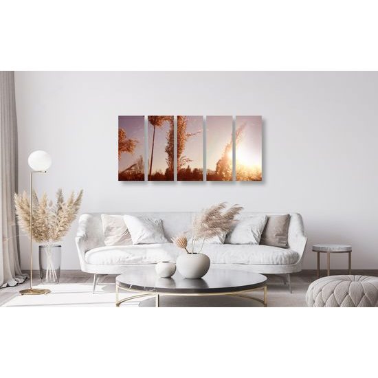 5-dielny obraz steblá trávy pri západe slnka