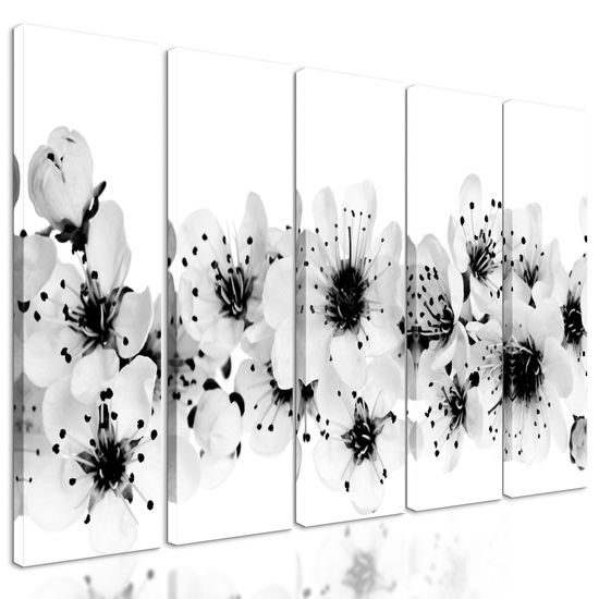 5-dielny obraz kvety čerešne na bielom pozadí v čiernobielom prevedení