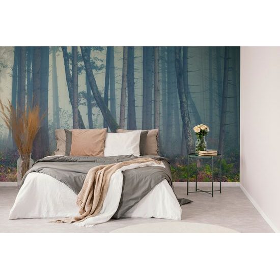 Fototapeta mysteriózny les