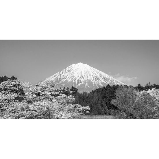 Obraz Japonská sopka Fuji v čiernobielom prevedení