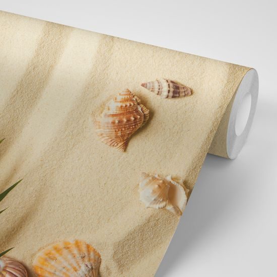 Fototapeta zákutie pláže