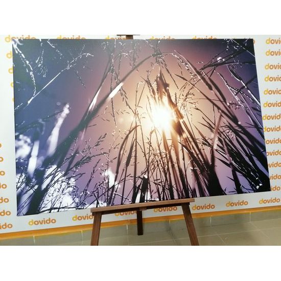 Obraz lúka v umeleckom prevedení