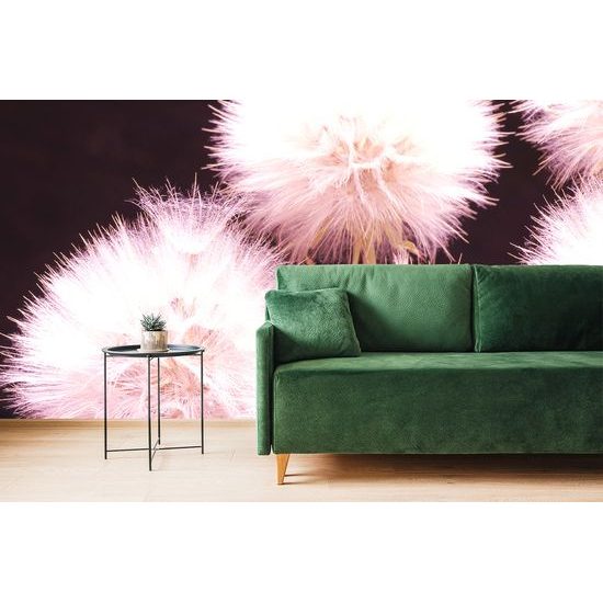 Samolepiaca fototapeta púpava s nádychom fialovej