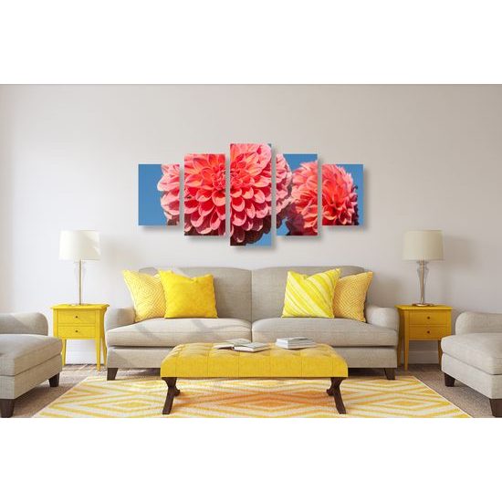 5-dielny obraz romantická ružová dália