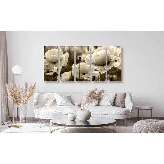 5-dielny obraz jedinečné divé maky v sépiovom prevedení