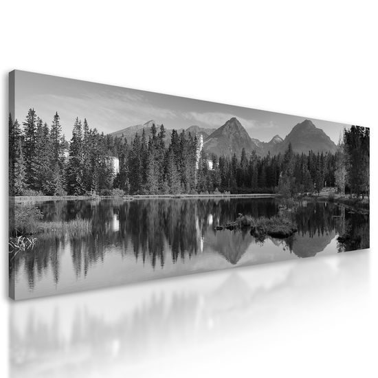 Obraz pravá Kanadská príroda v čiernobielom prevedení