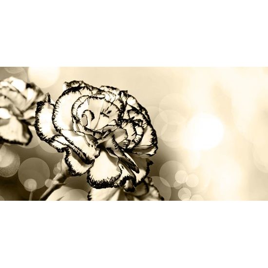 Obraz nádherný karafiát v sépiovom prevedení