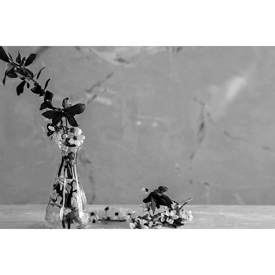 Obraz čerešňové zátišie v čiernobielom prevedení
