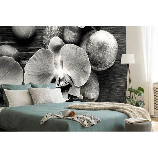 Samolepiaca fototapeta orchidea na zen kameňoch v čiernobielom prevedení