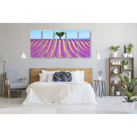 5-dielny obraz nekonečné levanduľové polia